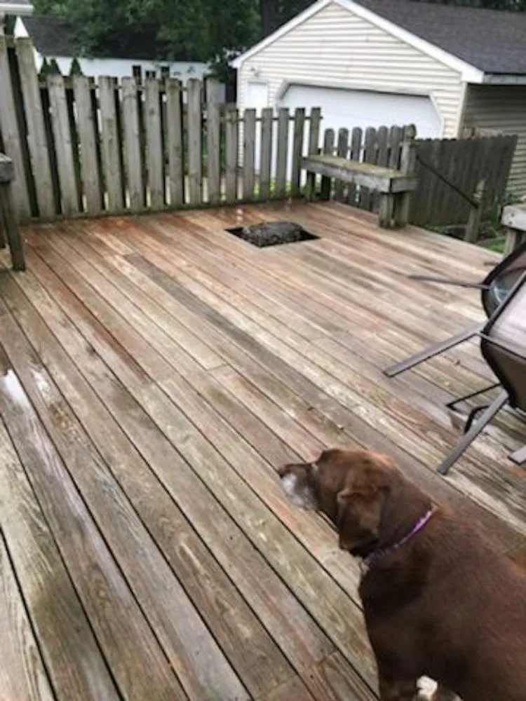 Affordable landscape design in Grand Rapids, MI - Carter Cleanup