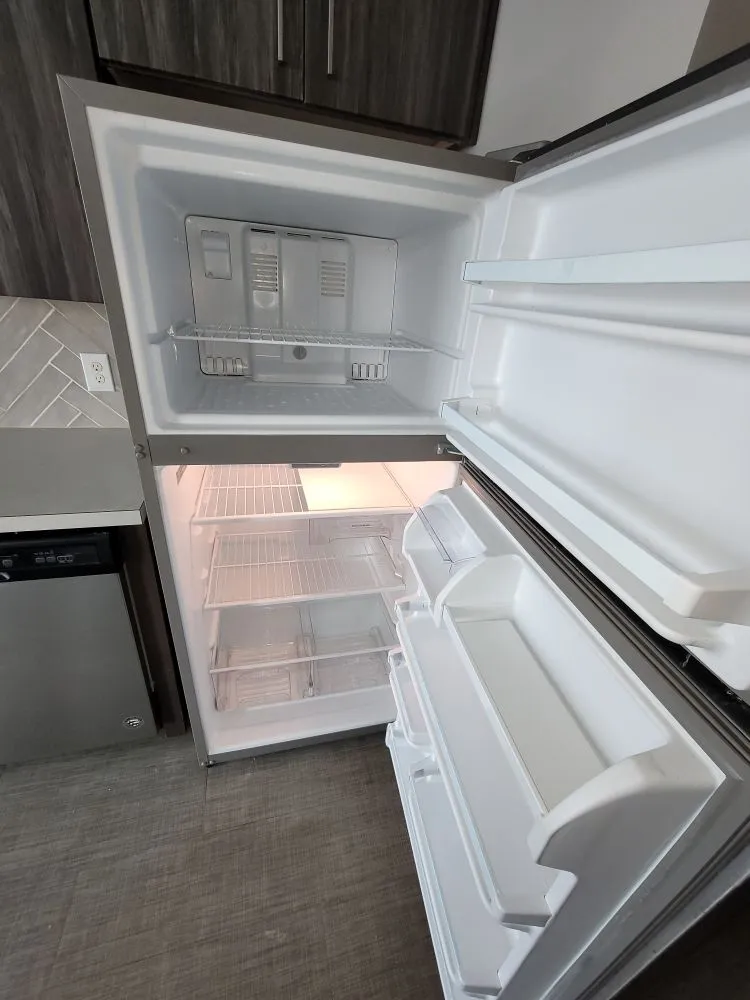 Professional yard cleanup service in Grand Rapids, MI by Carter Cleanup