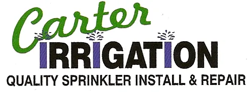 Professional yard cleanup service near you across Spring Branch, TX - Carter Irrigation and Services