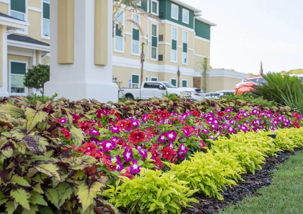 Reliable landscape design experts serving Brunswick, GA - Carter Land Services