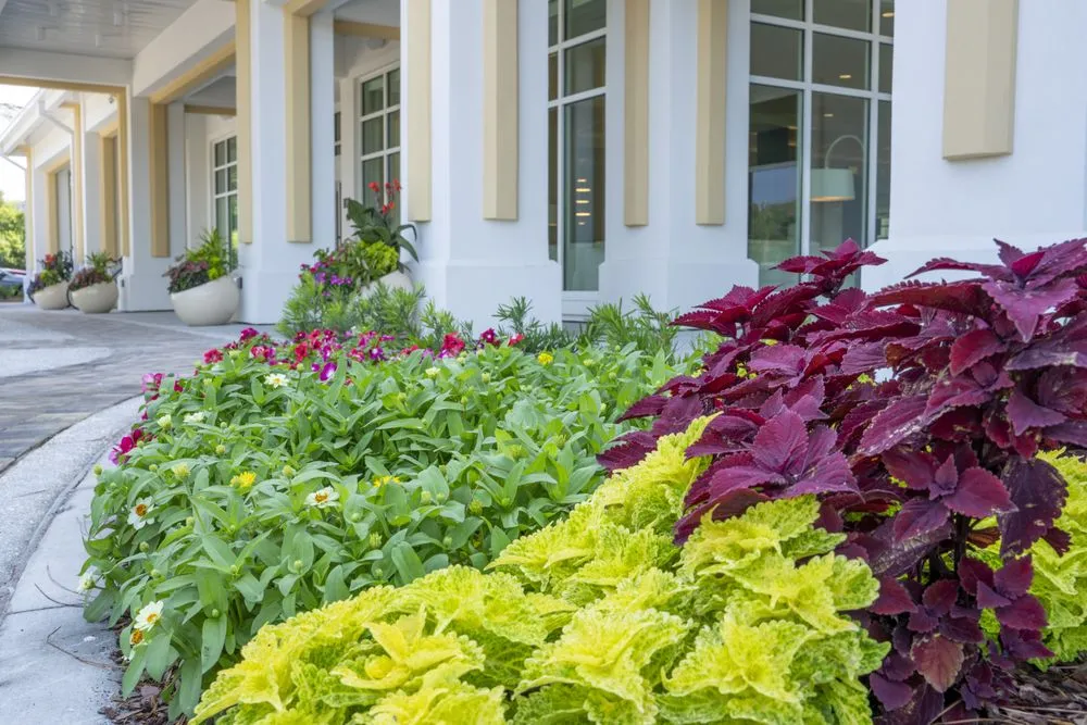 Expert landscape design in Brunswick, GA by Carter Land Services