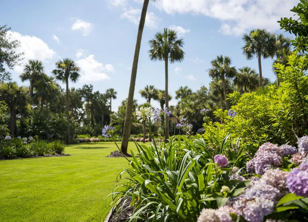 Trusted yard cleanup service experts serving Brunswick, GA - Carter Land Services