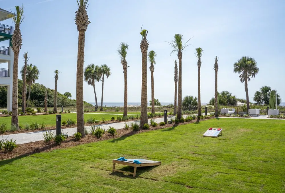 Affordable yard cleanup service in Brunswick, GA by Carter Land Services