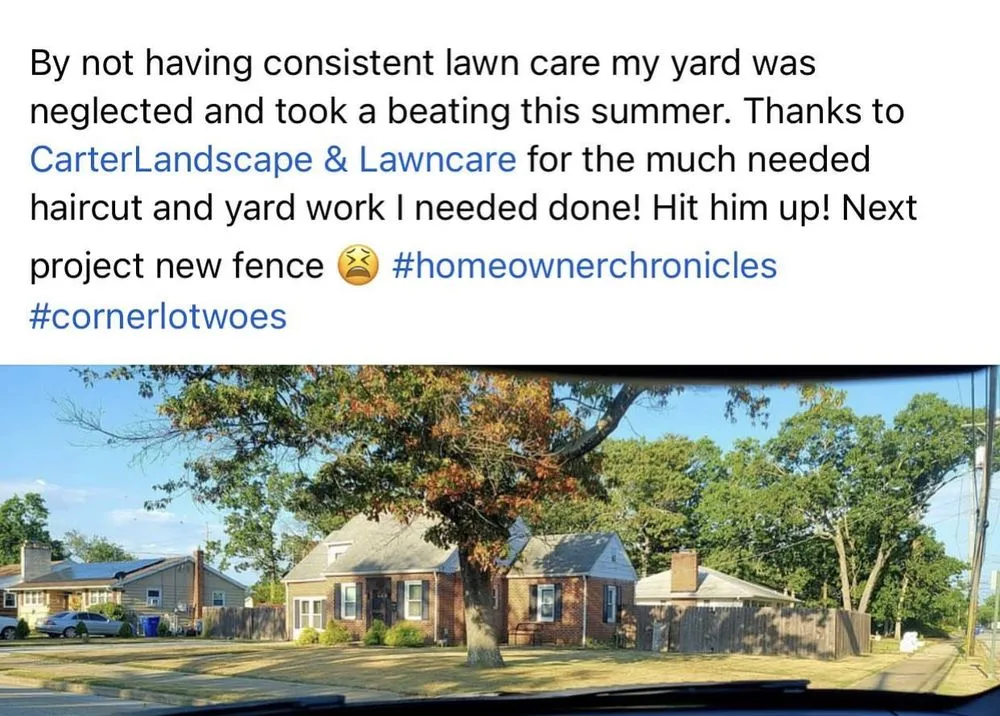 Top-rated yard cleanup service near you in Vineland, NJ by Carter Landscape & Lawn