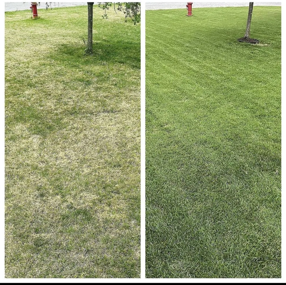 Custom yard maintenance for beautiful yards across Vineland, NJ - Carter Landscape & Lawn