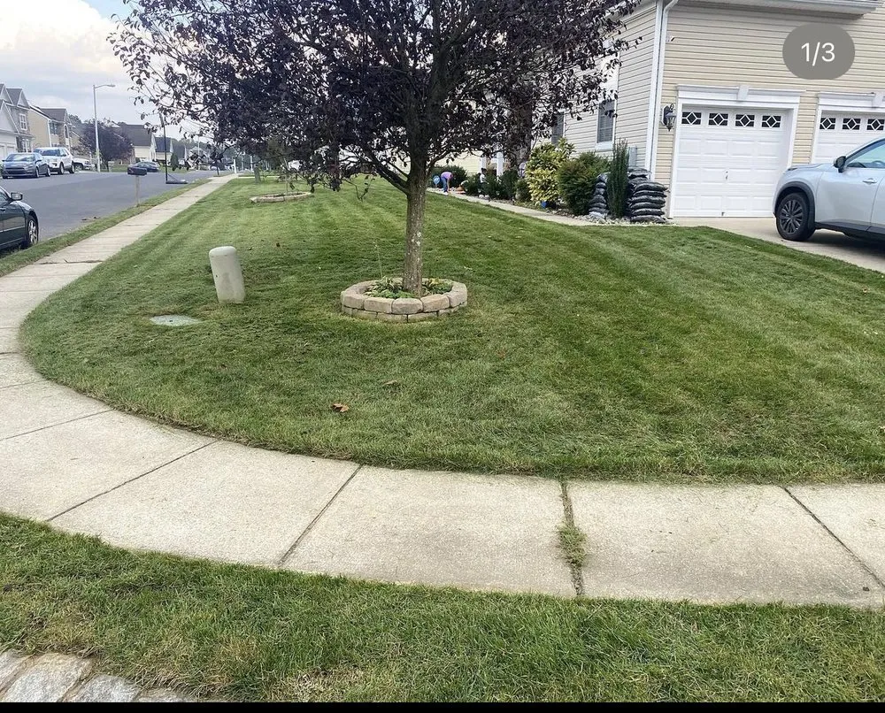 Top-rated landscape installation in Vineland, NJ by Carter Landscape & Lawn