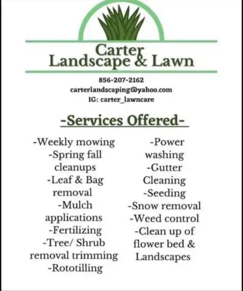 Expert yard cleanup service for year-round maintenance in Vineland, NJ by Carter Landscape & Lawn