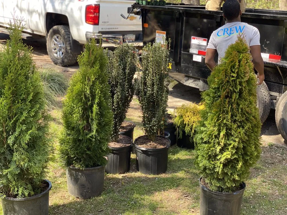 Trusted lawn mowing service for outdoor upgrades across Smyrna, GA - Carter Landscape Services