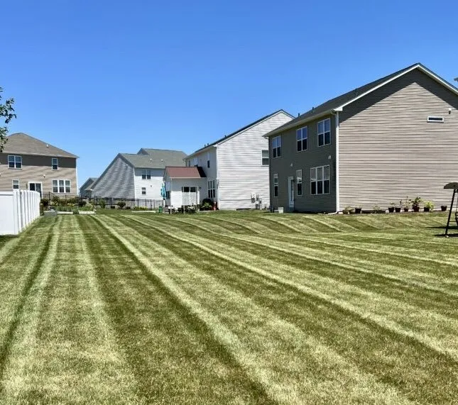 Local outdoor landscaping for year-round maintenance across Simpsonville, SC - Carter Landscaping & Junk Removal