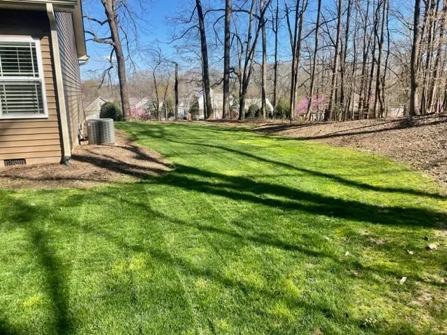 Professional landscape design for residential properties across Simpsonville, SC - Carter Landscaping & Junk Removal