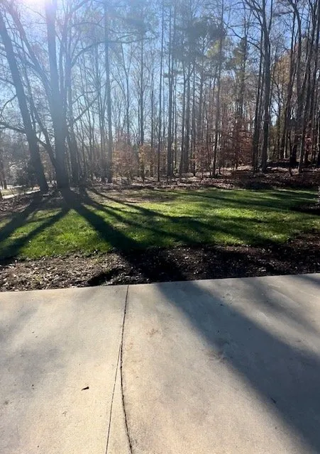 Professional yard cleanup service for residential properties across Simpsonville, SC - Carter Landscaping & Junk Removal