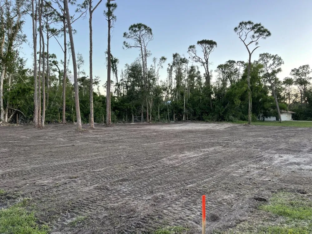 Professional outdoor landscaping near you in Fort Myers, FL by Carter Landscaping & Siteworks