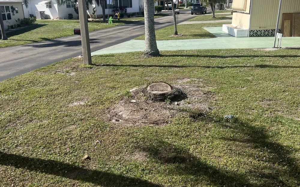 Expert landscape design in Fort Myers, FL - Carter Landscaping & Siteworks