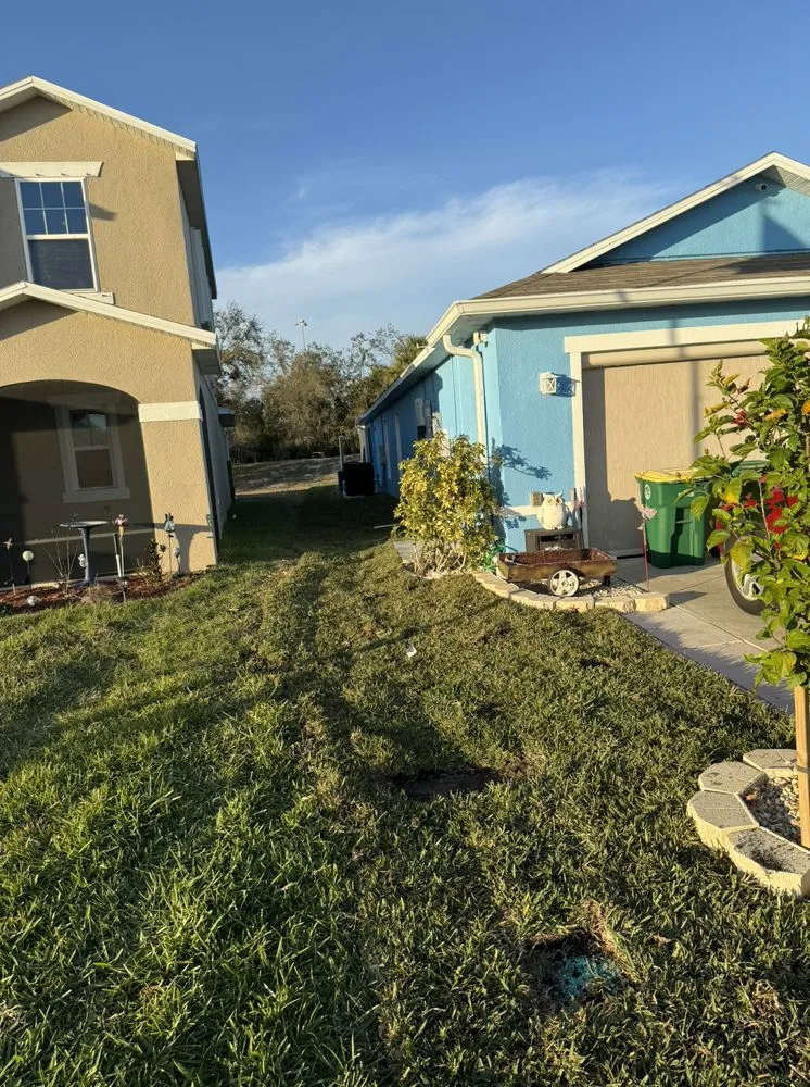 Trusted landscape design in Fort Myers, FL - Carter Landscaping & Siteworks