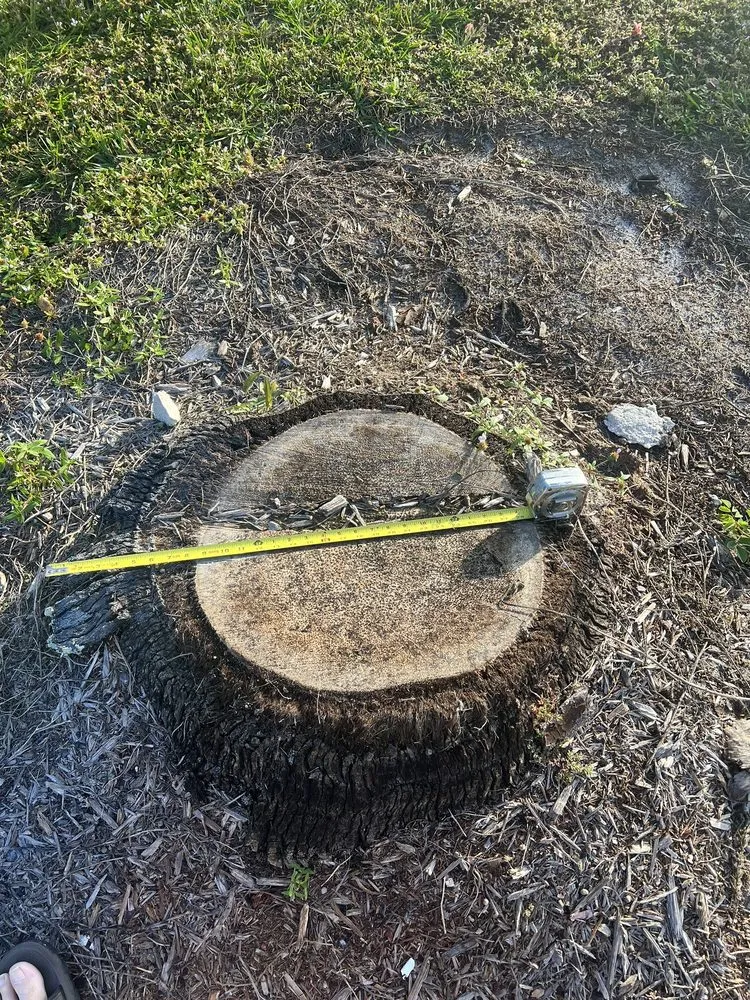 Custom residential landscaping experts serving Fort Myers, FL - Carter Landscaping & Siteworks