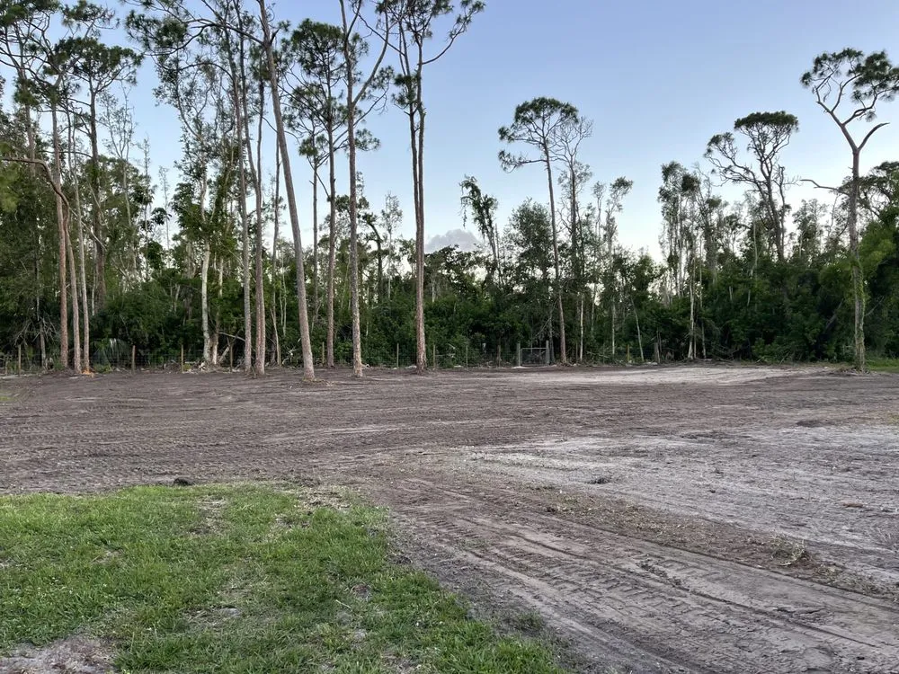 Trusted landscaping services in Fort Myers, FL - Carter Landscaping & Siteworks