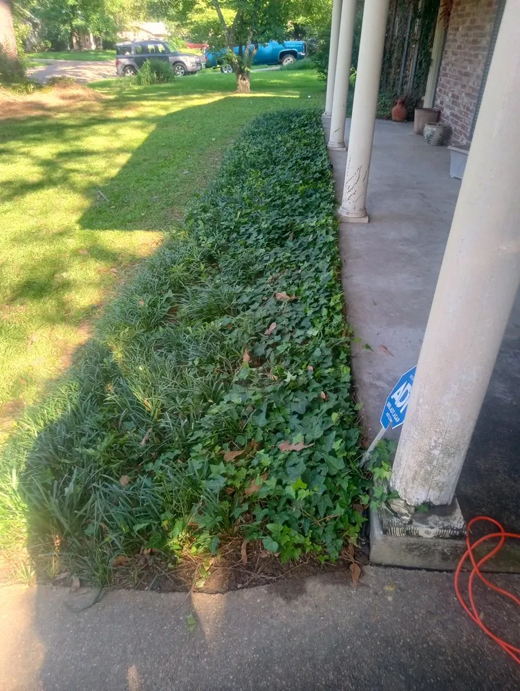 Expert lawn care service for residential properties in Jackson, MS by Carter Landscaping