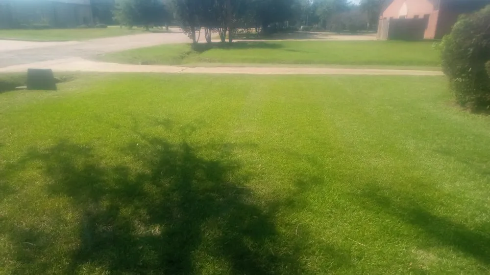 Reliable lawn care service experts serving Jackson, MS - Carter Landscaping