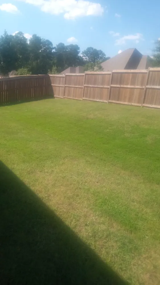 Top-rated landscaping services in Jackson, MS - Carter Landscaping