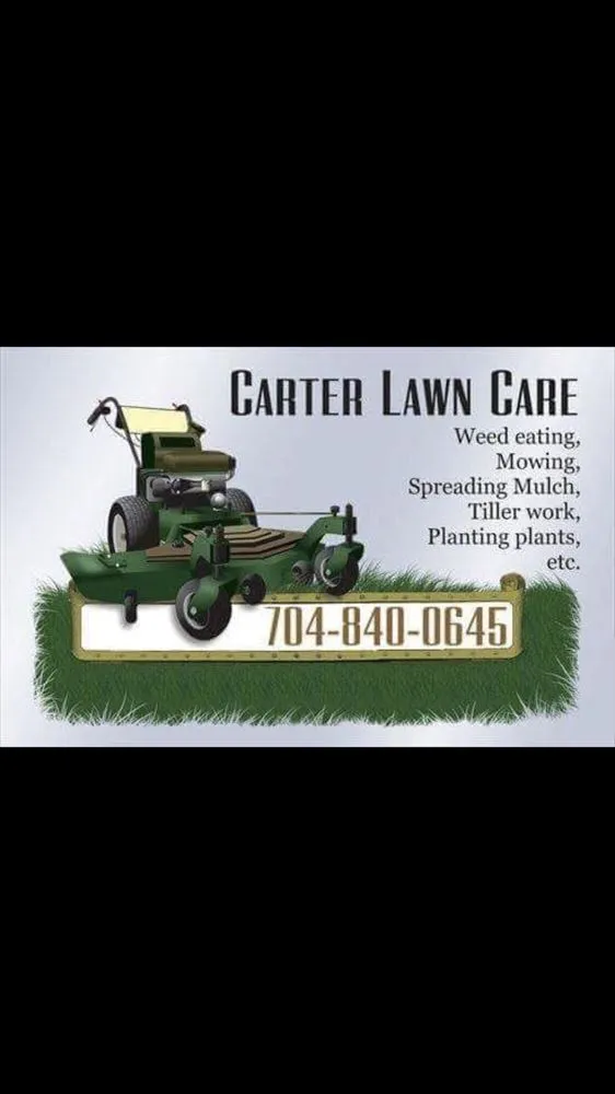 Expert yard maintenance for year-round maintenance in Peachland, NC by Carter Lawn Care
