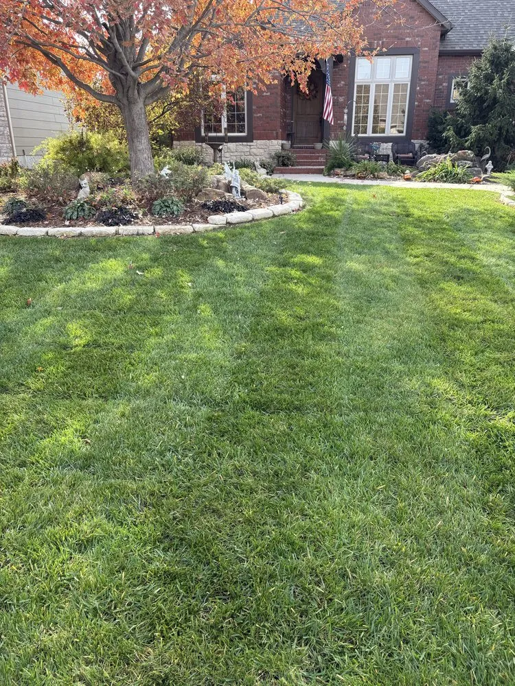 Affordable yard cleanup service experts serving Park City, KS - Carter Lawn Services