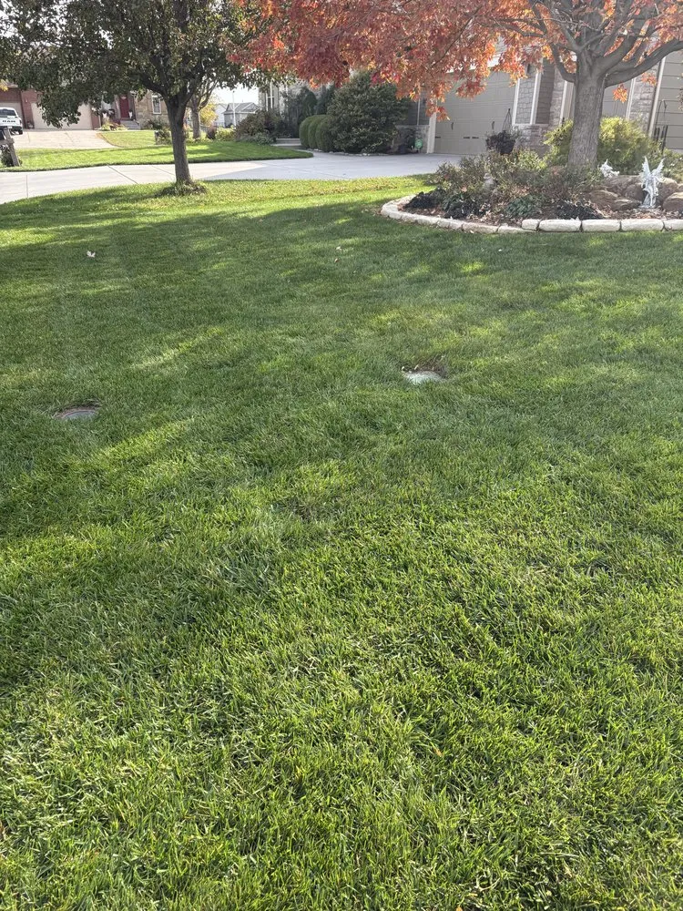 Custom lawn care service for residential properties in Park City, KS by Carter Lawn Services