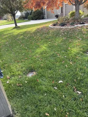 Carter Lawn Services