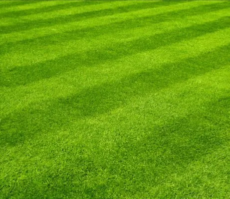 Carter Leno’s Lawn Care Service Logo