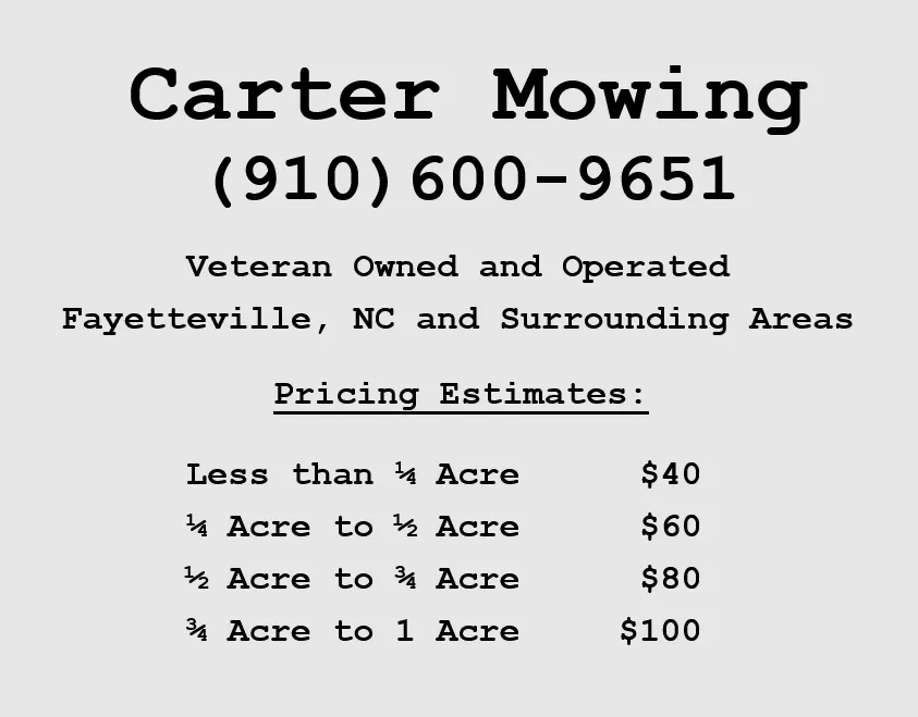 Custom yard cleanup service in Fayetteville, NC - Carter Mowing