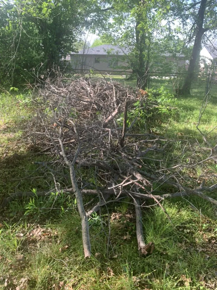 Trusted residential landscaping with custom design across Yukon, OK - Carter Property Cleaning Services