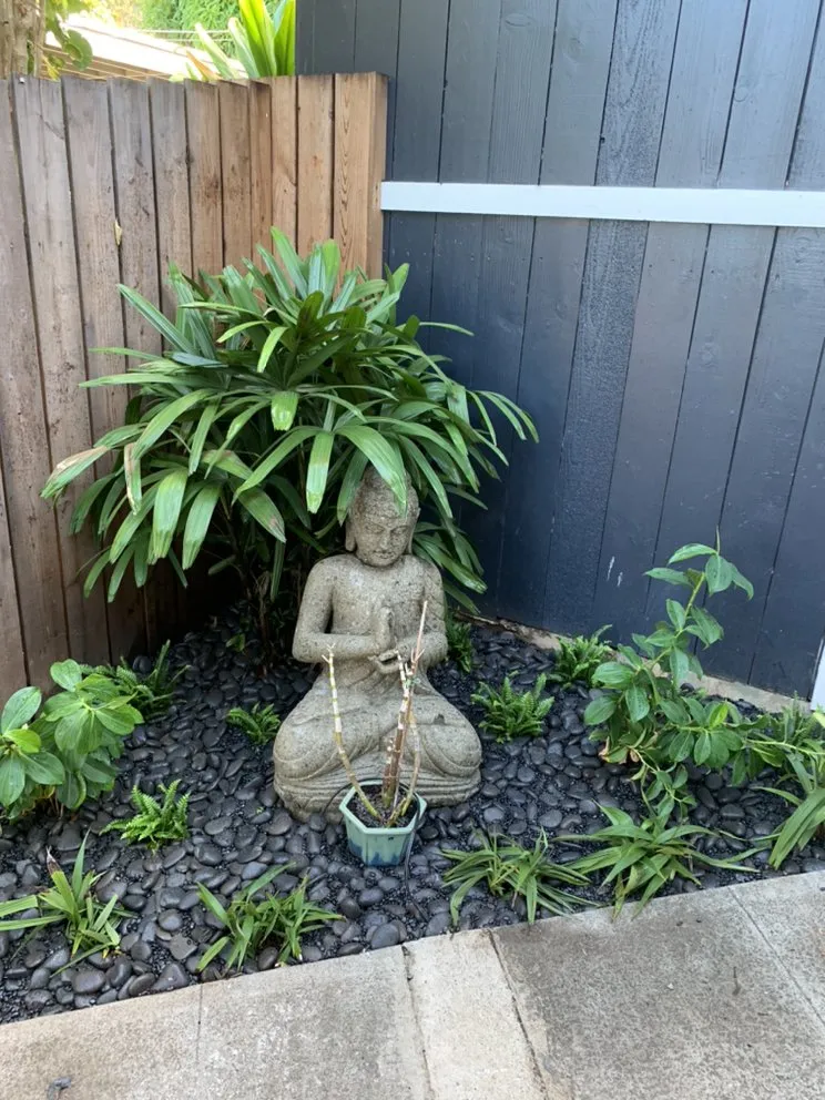 Affordable lawn mowing service in Honolulu, HI by Carters Clean-up