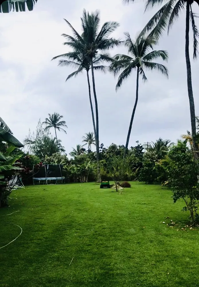 Custom residential landscaping for year-round maintenance in Honolulu, HI by Carters Clean-up