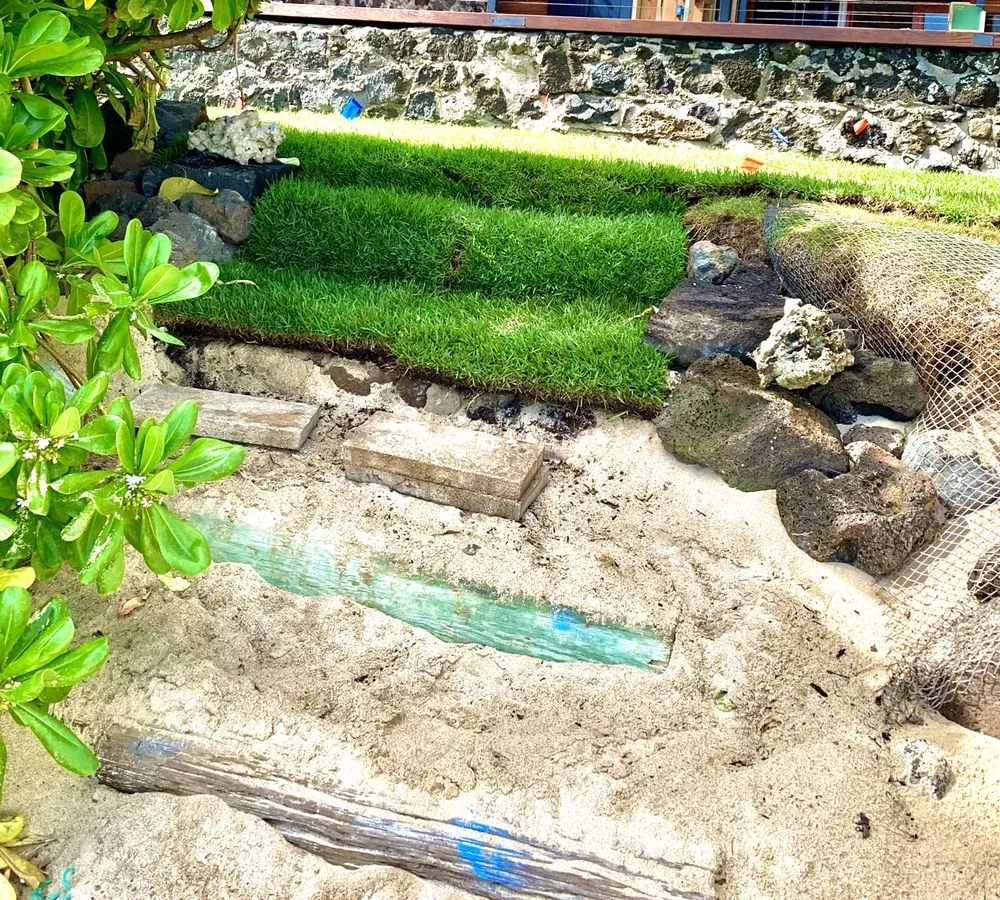 Trusted garden landscaping in Honolulu, HI by Carters Clean-up