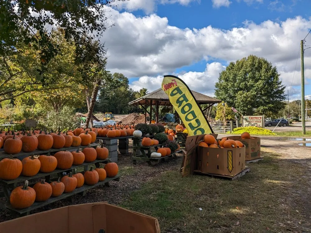 Custom yard maintenance for outdoor upgrades in Chesapeake, VA by Carter's Country Corner