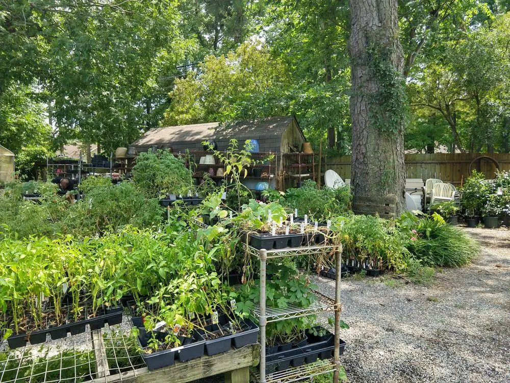 Custom yard cleanup service for homes in Chesapeake, VA by Carter's Country Corner