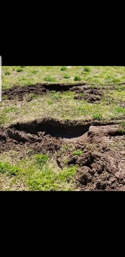 Expert residential landscaping in Chesapeake, VA by Carter's Country Corner