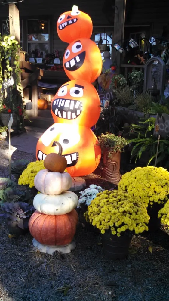 Trusted residential landscaping near you in Chesapeake, VA by Carter's Country Corner