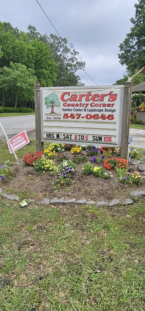 Top-rated outdoor landscaping in Chesapeake, VA by Carter's Country Corner