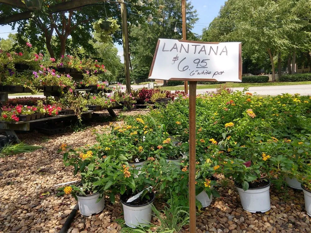 Top-rated outdoor landscaping for beautiful yards in Chesapeake, VA by Carter's Country Corner