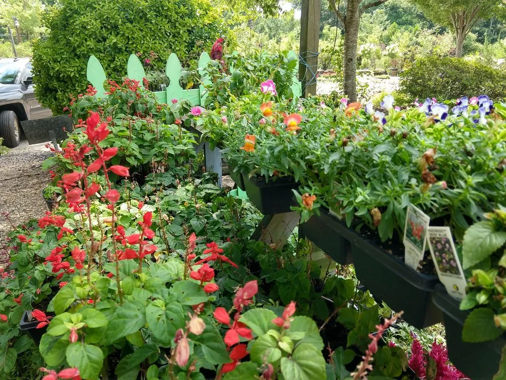 Affordable landscape design with custom design across Chesapeake, VA - Carter's Country Corner