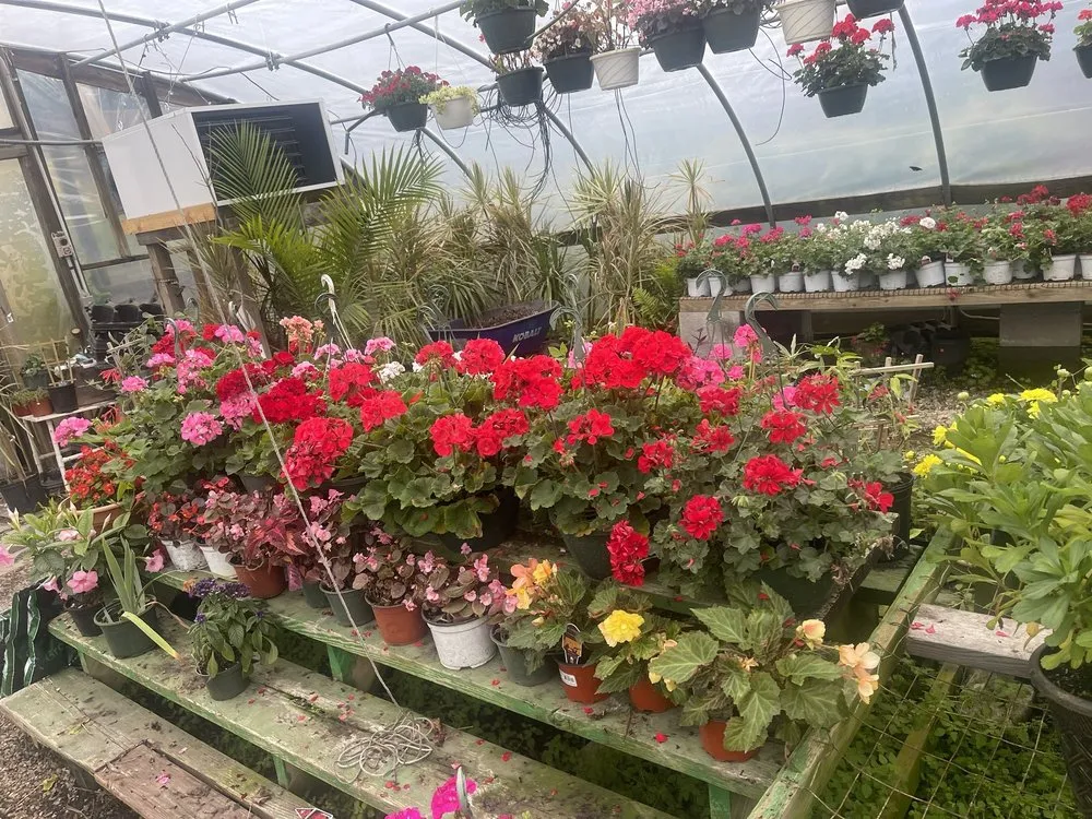 Professional landscaping services for residential properties in Chesapeake, VA by Carter's Country Corner