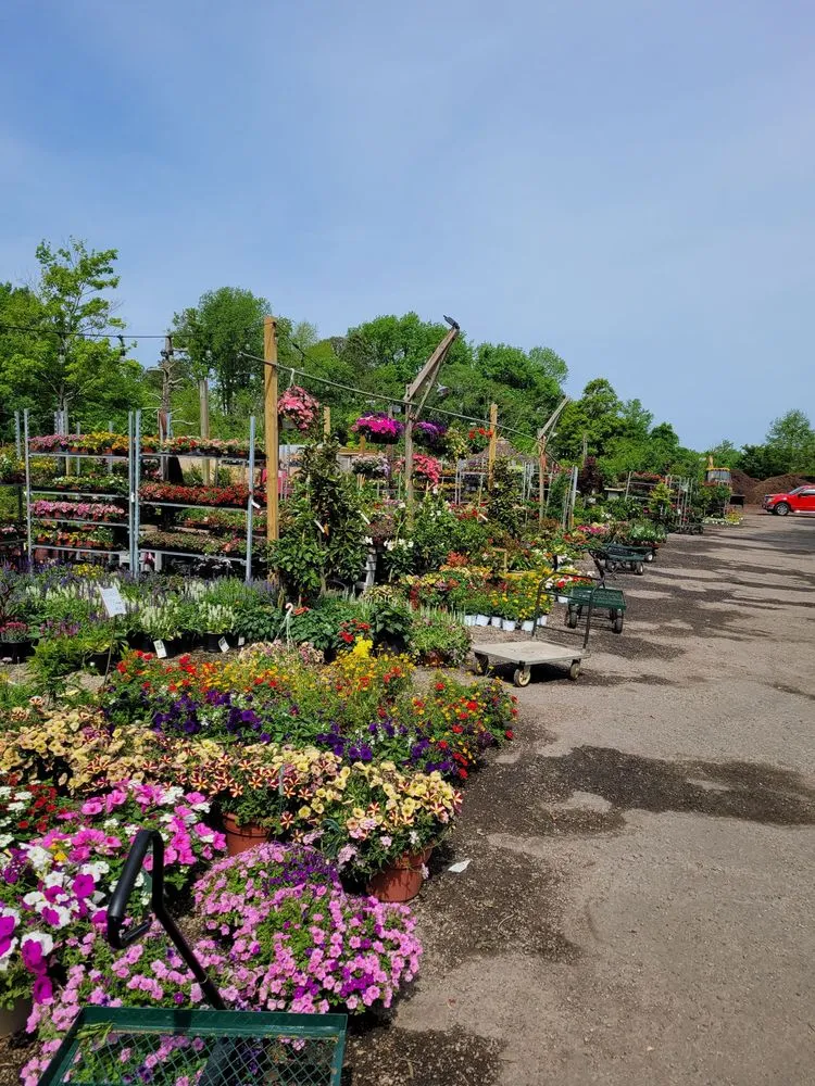 Top-rated landscaping services for residential properties in Chesapeake, VA by Carter's Country Corner