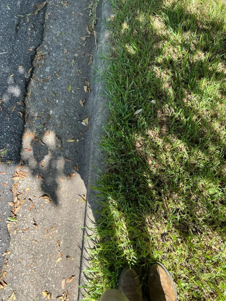 Trusted landscaping services for outdoor upgrades in Phenix City, AL by Carter’s Craft