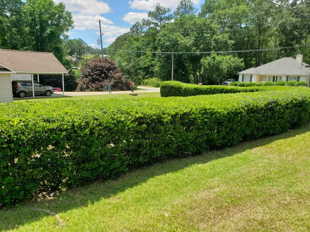 Professional landscaping services for homes in Phenix City, AL by Carter’s Craft