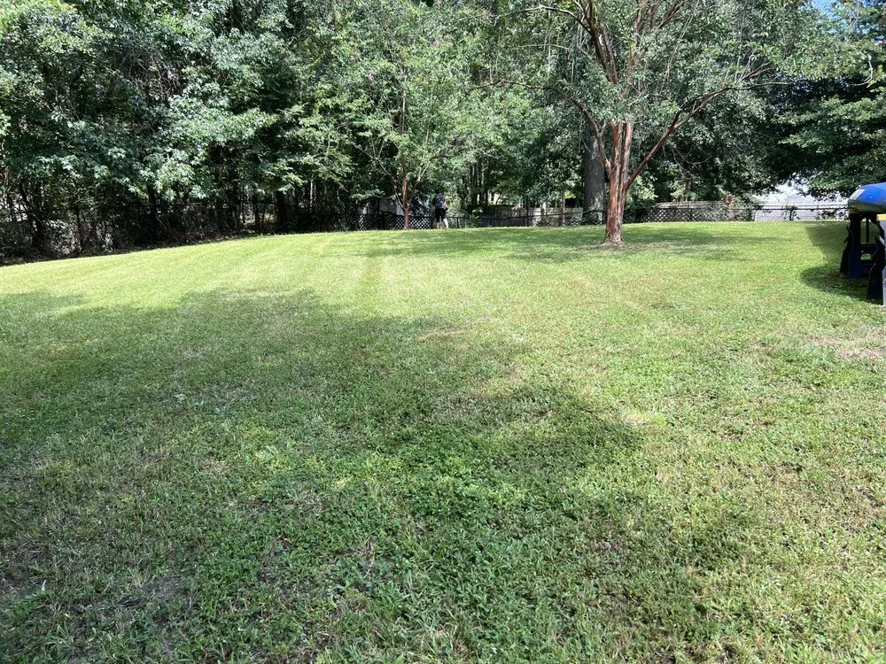 Trusted yard cleanup service experts serving Phenix City, AL - Carter’s Craft