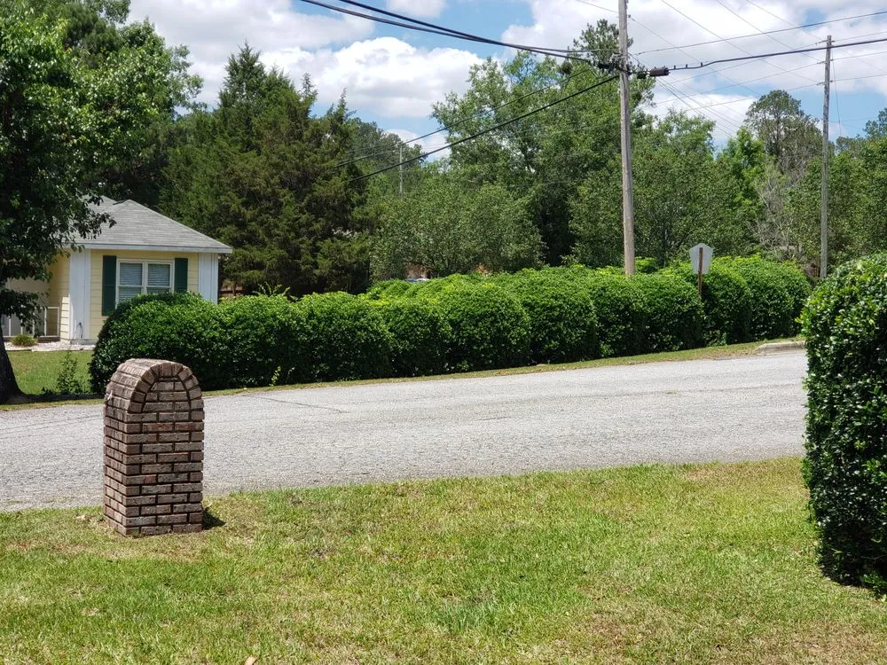 Trusted yard cleanup service in Phenix City, AL - Carter’s Craft