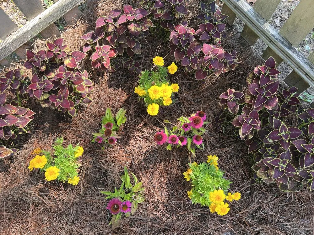 Local residential landscaping in Phenix City, AL - Carter’s Craft