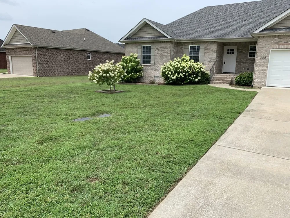 Trusted yard cleanup service experts serving Shelbyville, TN - Carters Cuts