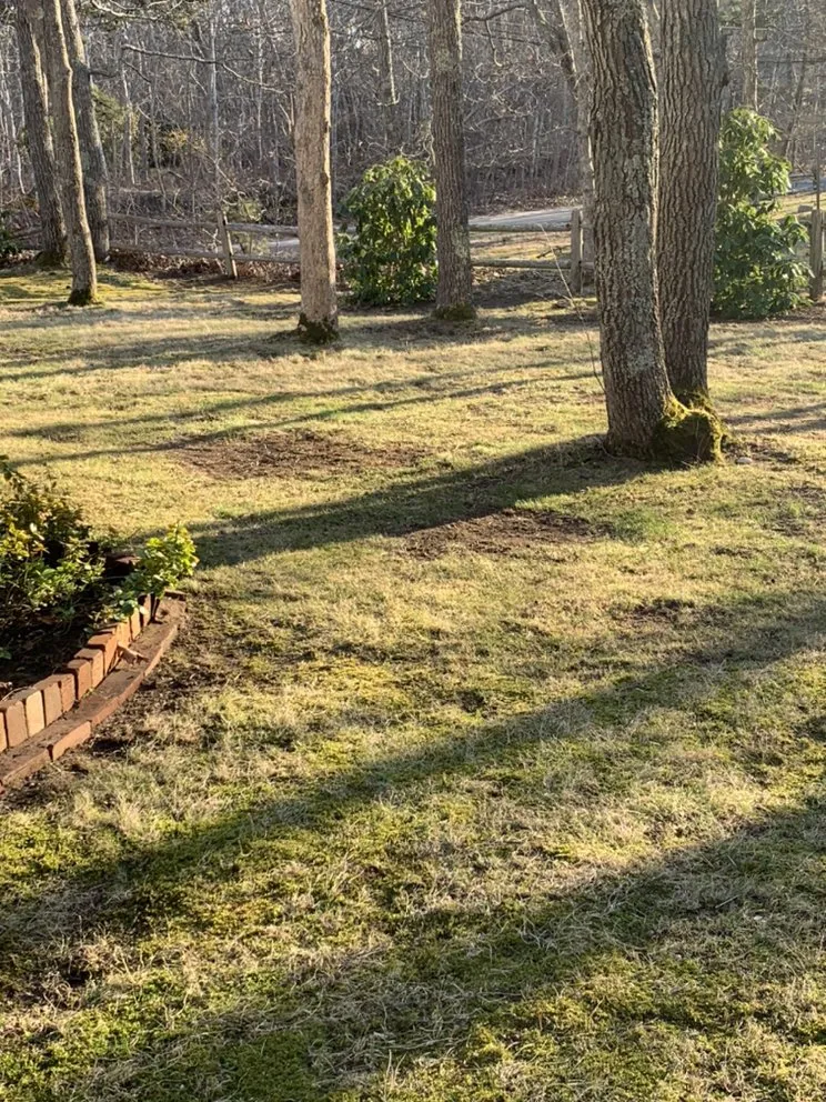 Trusted residential landscaping experts serving Eastham, MA - Carter's Landscaping