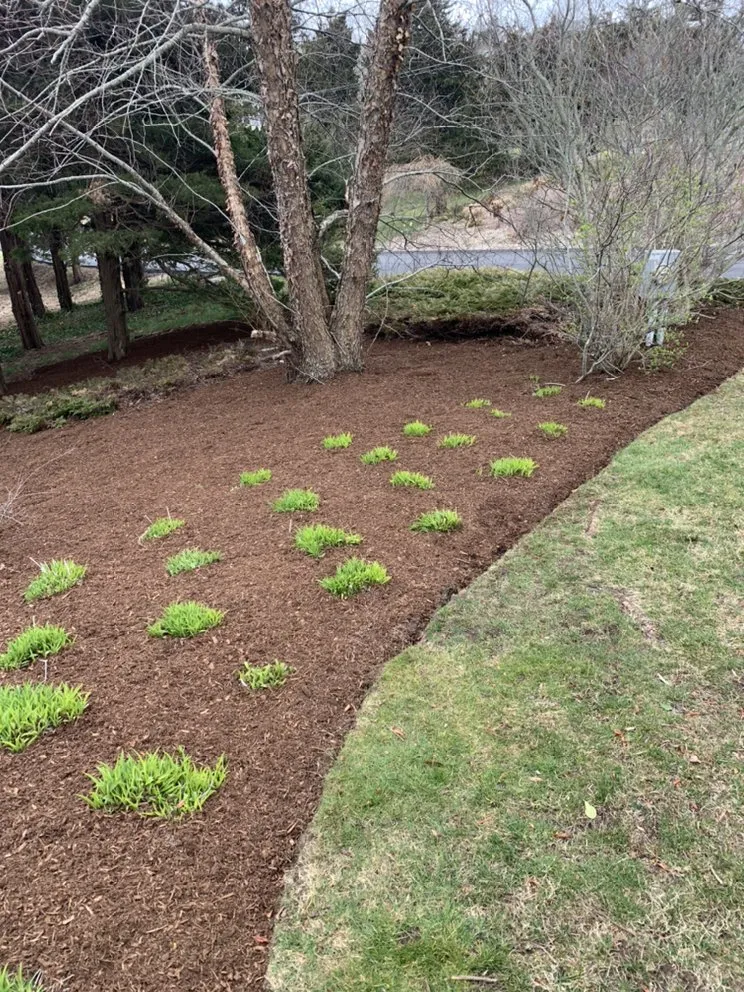 Reliable garden landscaping experts serving Eastham, MA - Carter's Landscaping
